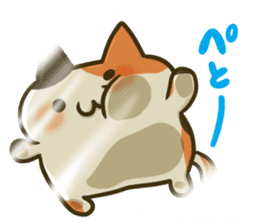 Tortoiseshell cat. sticker #4754723