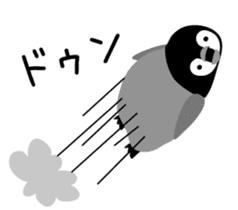 Selfish penguin 1 sticker #4755553