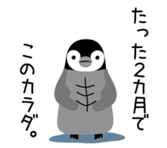 Selfish penguin 1 sticker #4755558