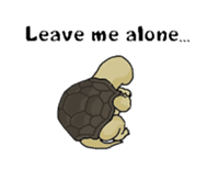 Butter, a cutie turtle speaks English sticker #4761568