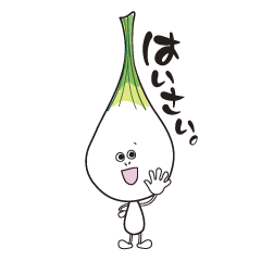 Island pickled scallion boy