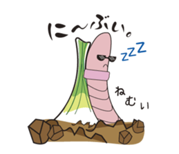 Island pickled scallion boy sticker #4767090