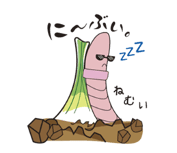 Island pickled scallion boy sticker #4767090