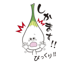 Island pickled scallion boy sticker #4767091