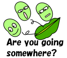 Daily conversation of Edamame English sticker #4767548