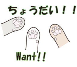 3CAT sticker #4768221