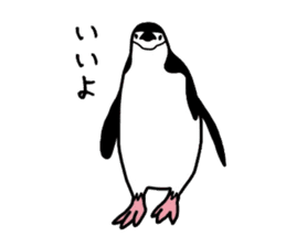 Word of penguins sticker #4768385