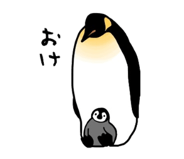 Word of penguins sticker #4768387