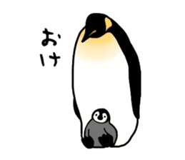 Word of penguins sticker #4768387