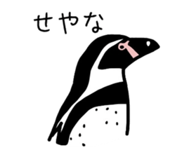 Word of penguins sticker #4768389