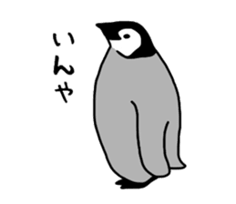 Word of penguins sticker #4768392