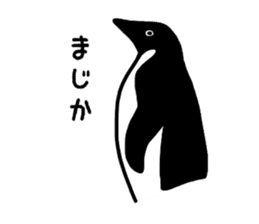 Word of penguins sticker #4768394