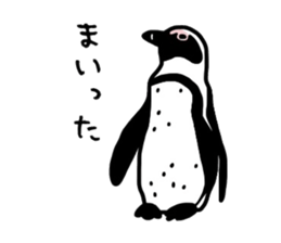 Word of penguins sticker #4768395