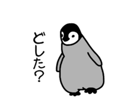 Word of penguins sticker #4768397