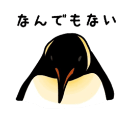 Word of penguins sticker #4768398