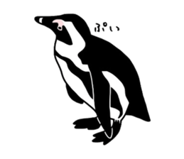 Word of penguins sticker #4768399