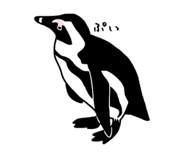 Word of penguins sticker #4768399