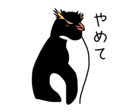 Word of penguins sticker #4768401