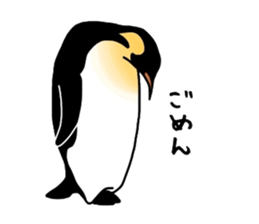 Word of penguins sticker #4768403