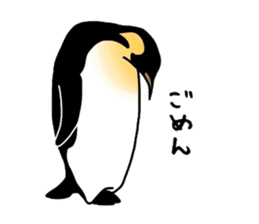 Word of penguins sticker #4768403