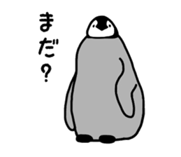 Word of penguins sticker #4768405