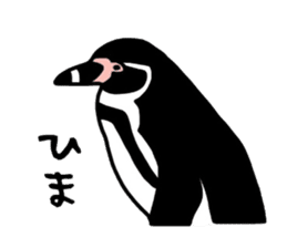 Word of penguins sticker #4768409