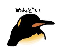 Word of penguins sticker #4768415