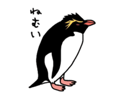 Word of penguins sticker #4768416