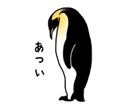 Word of penguins sticker #4768423
