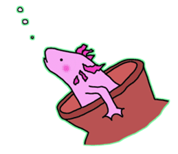 Wooper &Pipopapo sticker #4768640