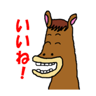 Amidapapu Company