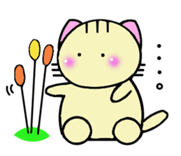 Cute cat, Tarachan of my home. sticker #4771406
