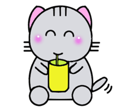 Cute cat, Tarachan of my home. sticker #4771417