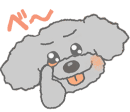Fluffy Poodles 1 sticker #4773051