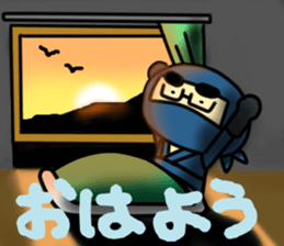 Leisure NINJA boy sticker #4774996