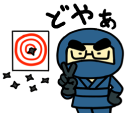 Leisure NINJA boy sticker #4775001