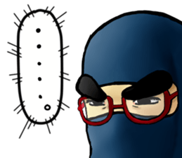 Leisure NINJA boy sticker #4775002