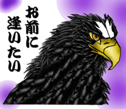 Steller's Sea-Eagle sticker #4775385