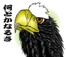 Steller's Sea-Eagle sticker #4775389