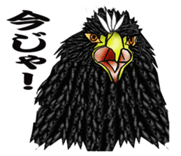 Steller's Sea-Eagle sticker #4775390