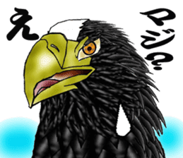 Steller's Sea-Eagle sticker #4775392