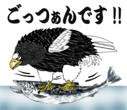 Steller's Sea-Eagle sticker #4775394
