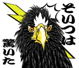 Steller's Sea-Eagle sticker #4775395