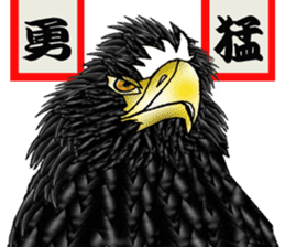 Steller's Sea-Eagle sticker #4775397