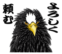 Steller's Sea-Eagle sticker #4775398