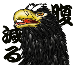 Steller's Sea-Eagle sticker #4775406