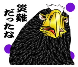 Steller's Sea-Eagle sticker #4775415