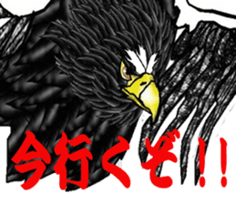 Steller's Sea-Eagle sticker #4775416