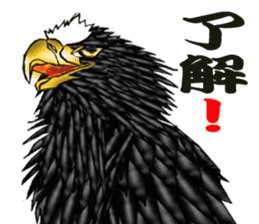 Steller's Sea-Eagle sticker #4775419