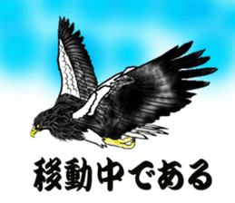 Steller's Sea-Eagle sticker #4775423